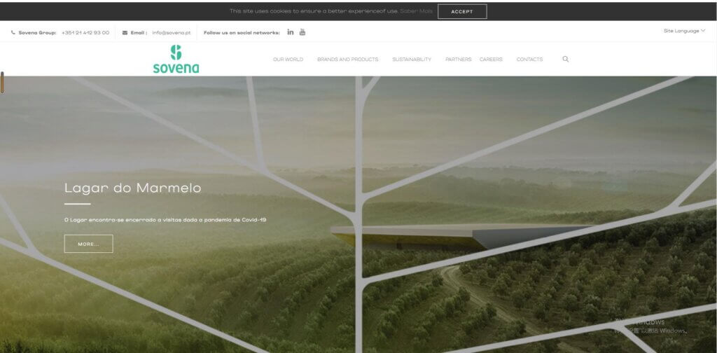 Private Label Olive Oil Suppliers